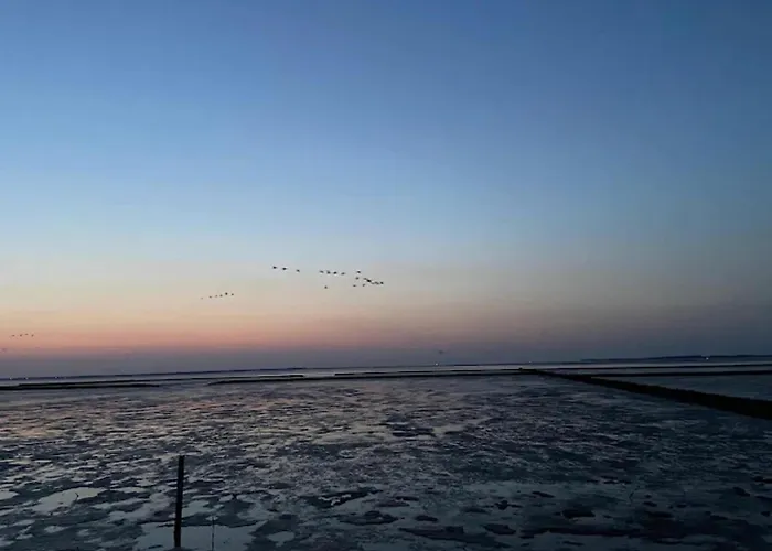 Tatil Evi Bungalow, *